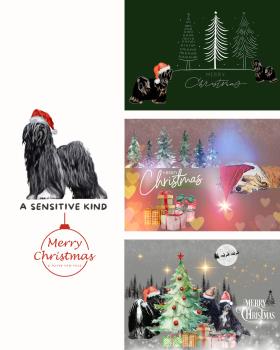 Weihnachtskarten mit Tibet-Terrier-Motiv (3er-Set, klassisch)